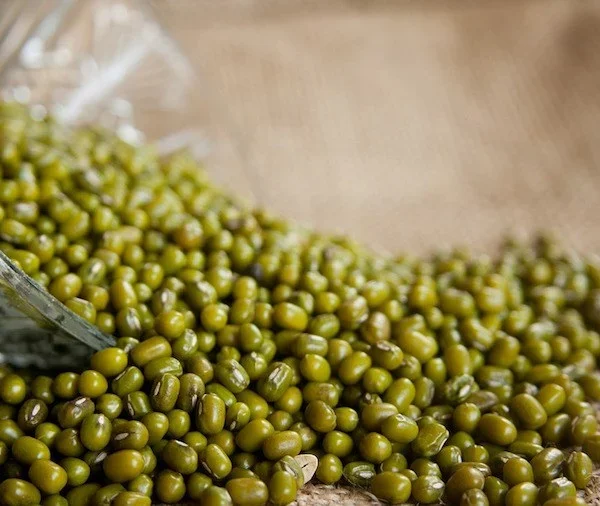 Green Mung bean